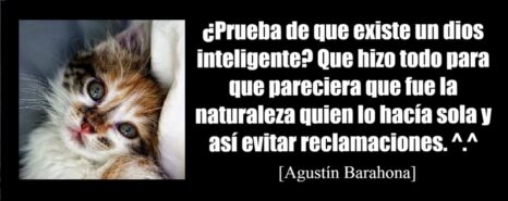 La prueba de que un dios inteligente existe es que hizo todo para que pareciera que fue la naturaleza quien lo hacía sola y así evitar reclamaciones.